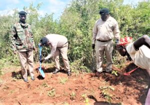 Empowering Widows and Protecting Nature: Rona Foundation's Reforestation Efforts at Mbaga Hill