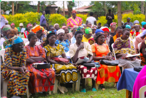 Beyond Applause: What True Partnership in Social Change Demands!